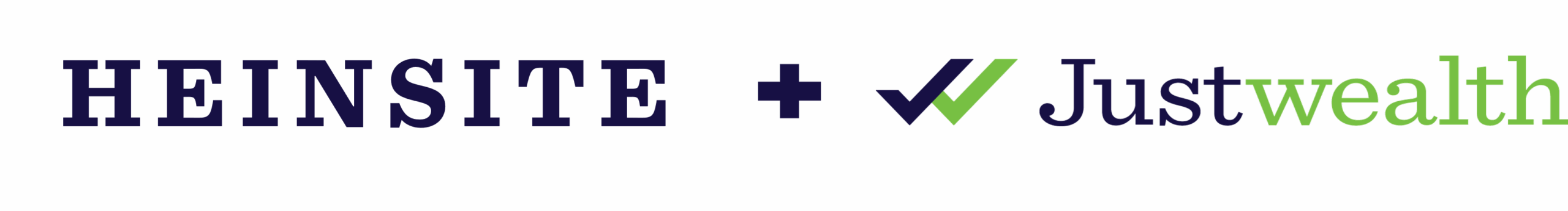 Website Logo Image - Heinsite